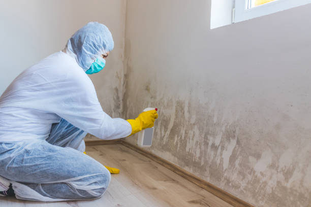 Hvac And Air Duct Mold Remediation inspection of HVAC system in Kenly